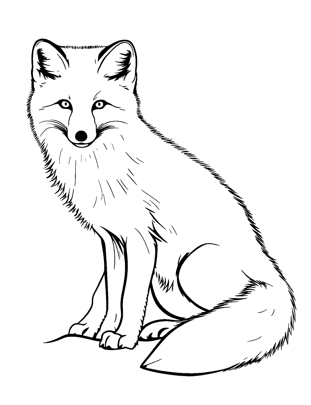 Arctic Fox Coloring Page