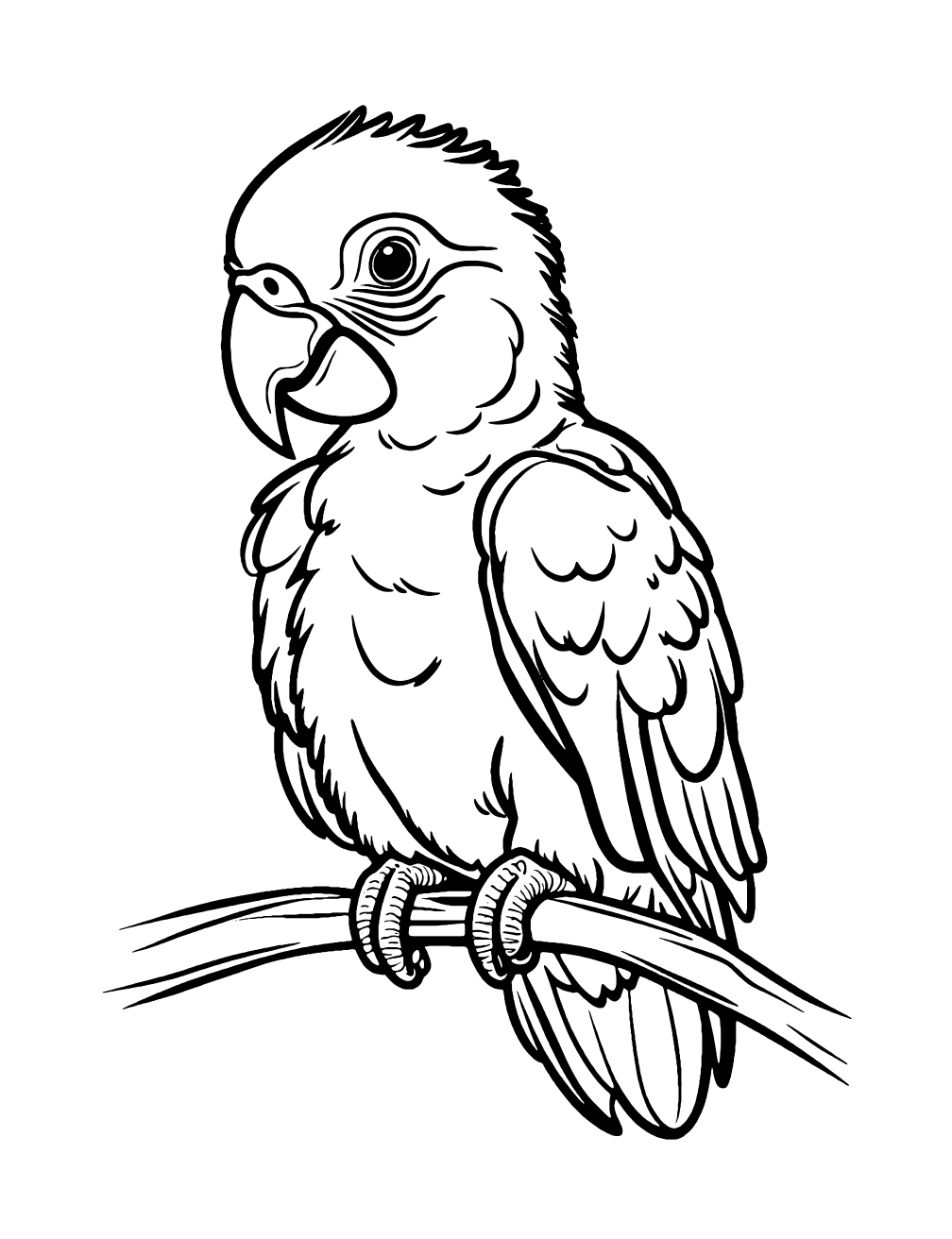 Baby Parrot Coloring Page