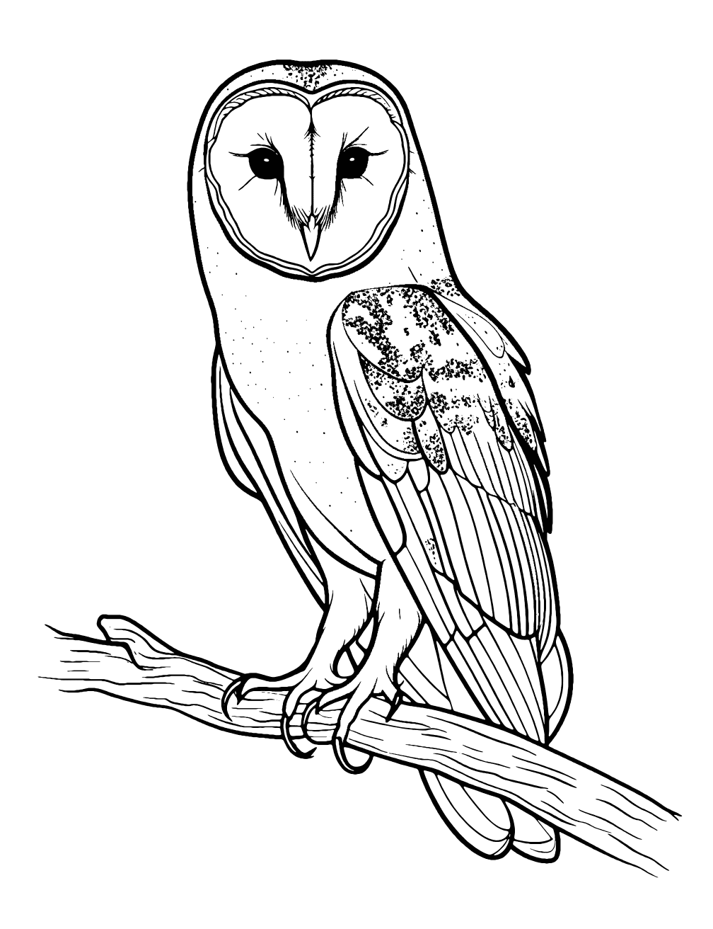 Barn Owl Coloring Page