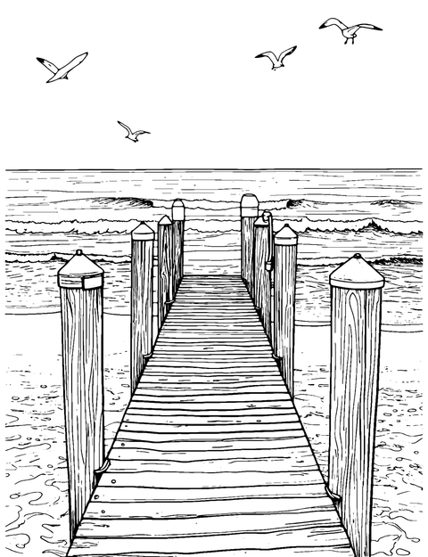 Beach Dock