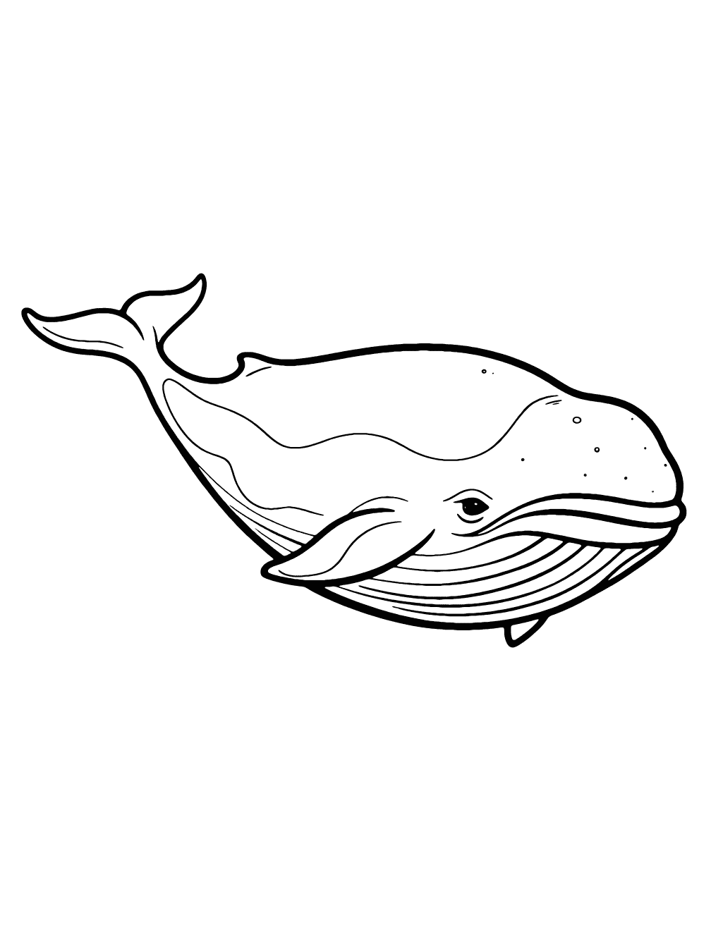 Bowhead Whale Coloring Page