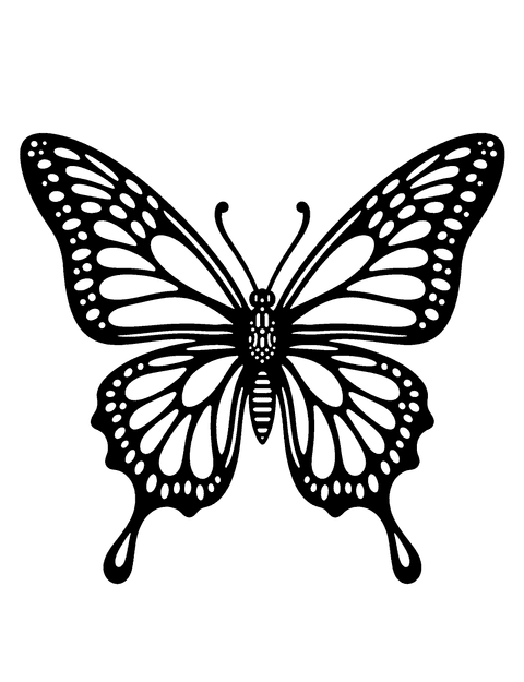 Mariposa Celta coloring page