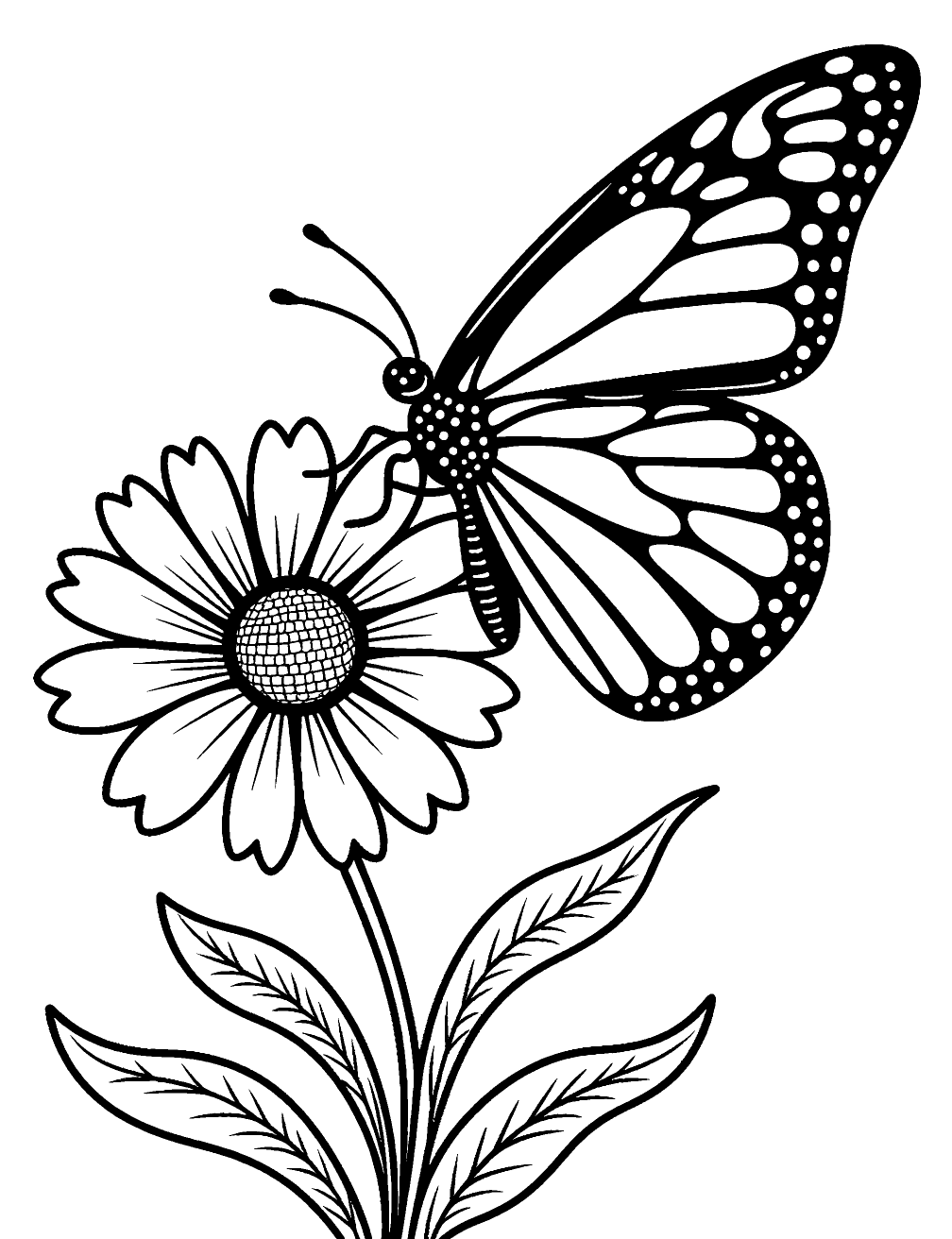 Borboleta Flor Desenho para Colorir