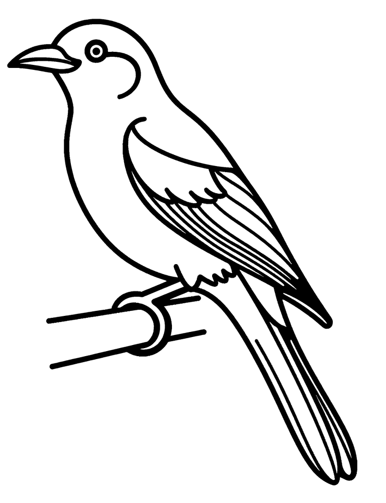 Canary Bird Coloring Page | NinjaColoring