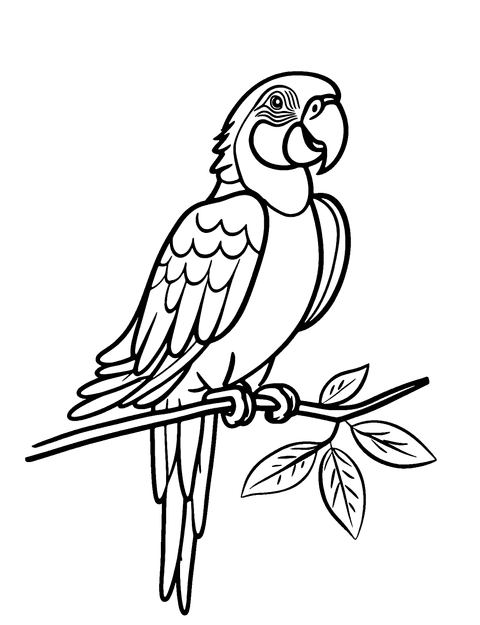 Cartoon Parrot Coloring Page