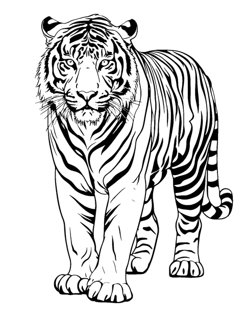 Chinese Tiger Coloring Page