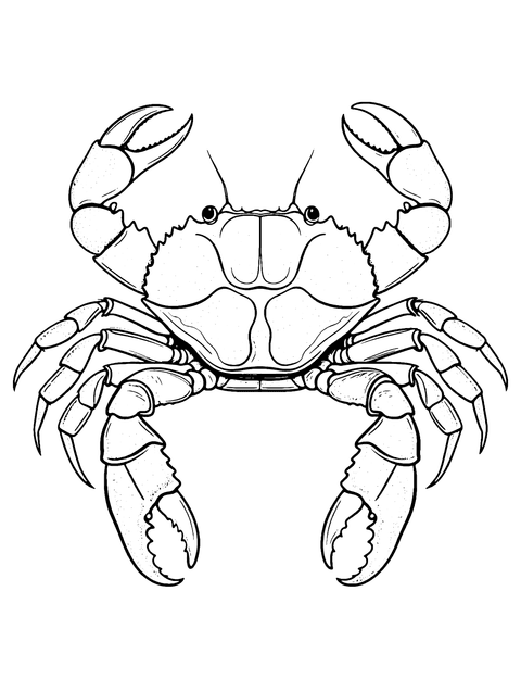 Coconut Crab Coloring Page