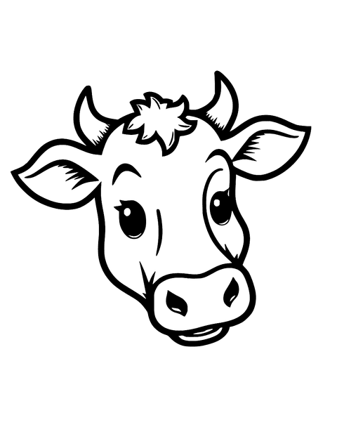 Visage De Vache