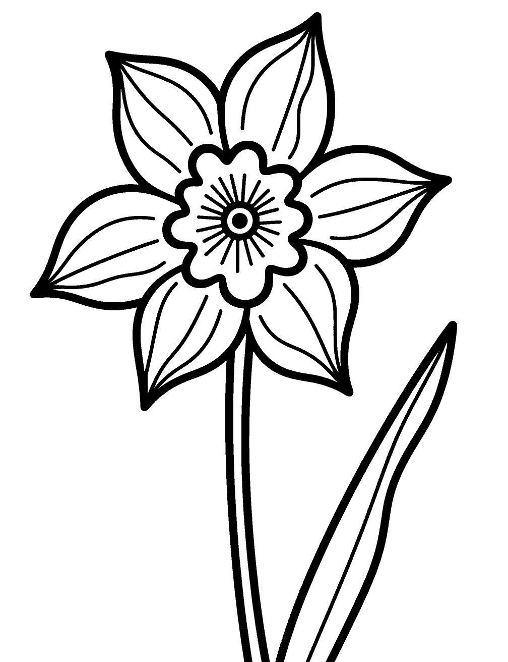 Flor De Narciso Desenho para Colorir