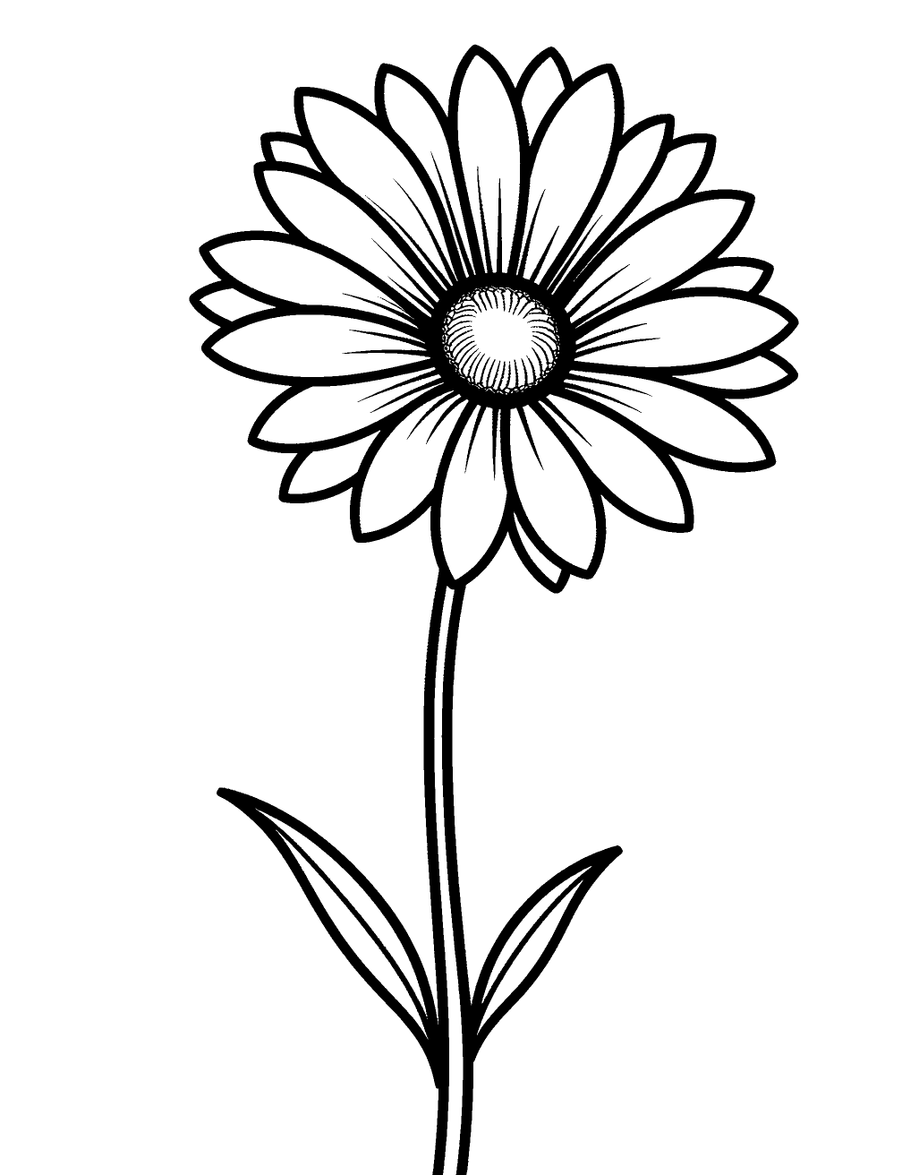 Flor De Margarida Desenho para Colorir