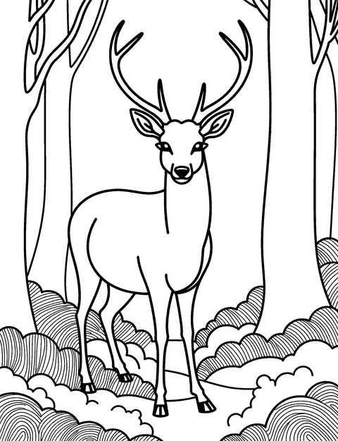 Reh Im Wald coloring page