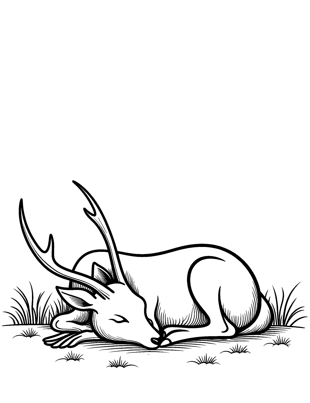 Deer Sleeping Coloring Page