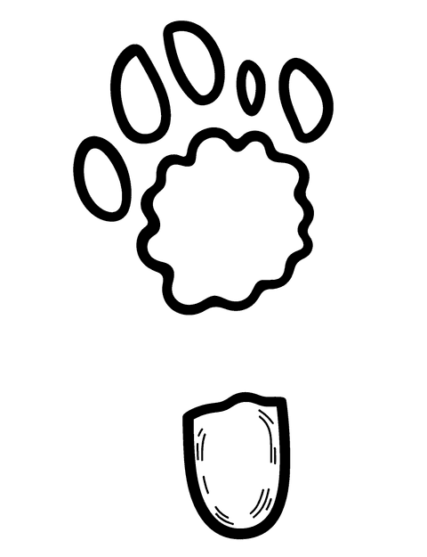 Dinosaur Footprints coloring page