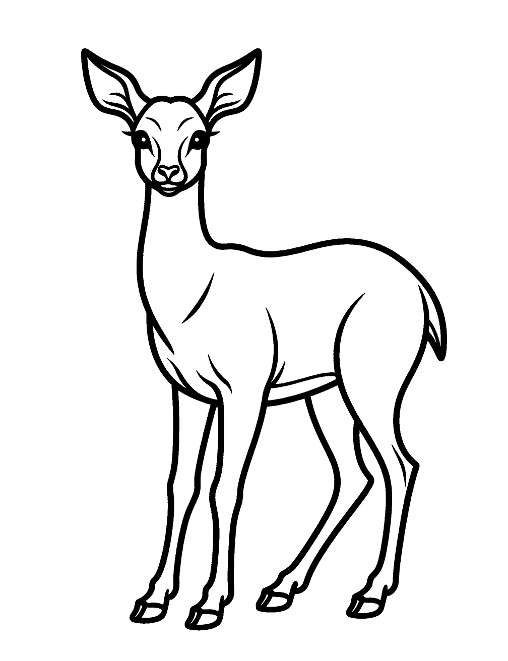 Doe Deer Coloring Page