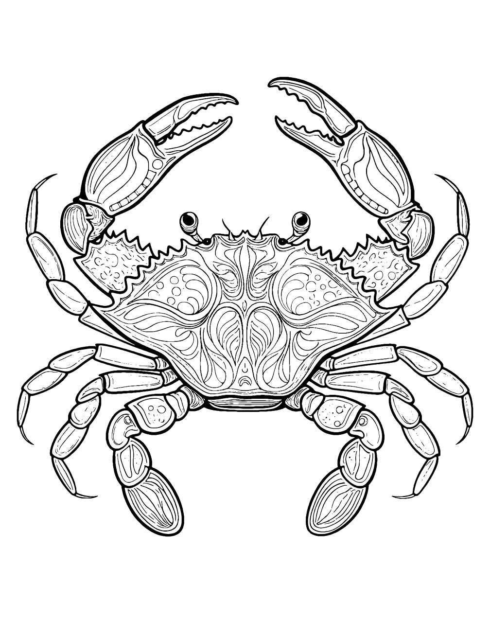 Dungeness Crab Coloring Page