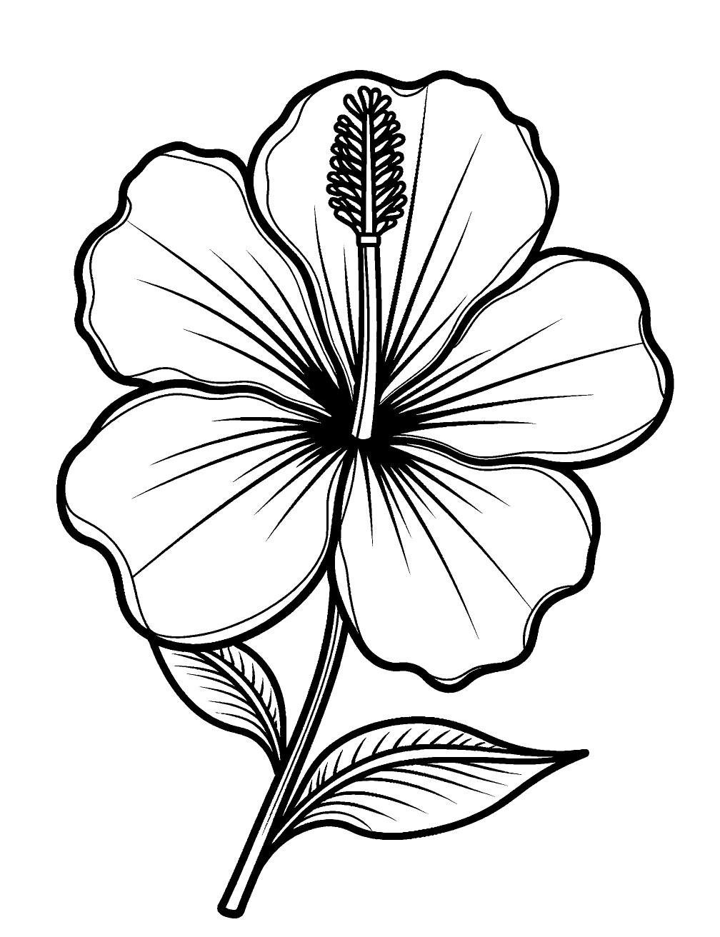 Flor De Hibisco Desenho para Colorir