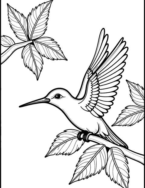 벌새 coloring page