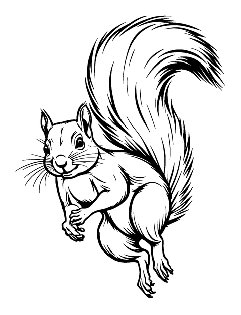 Jumping Squirrel Coloring Page