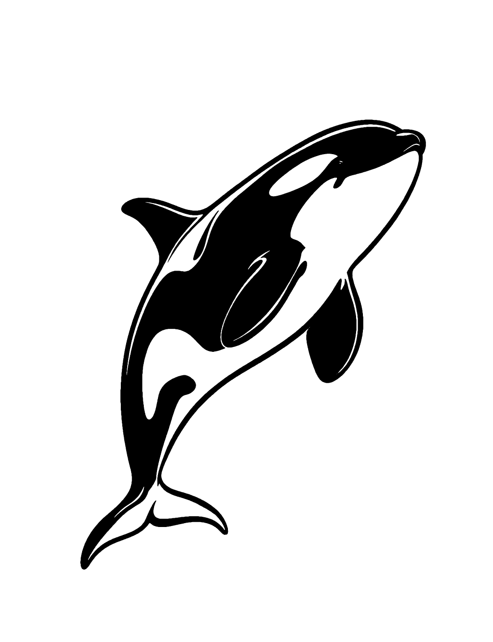 Killer Whale Coloring Page