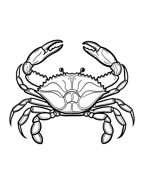 Rock Crab Coloring Page