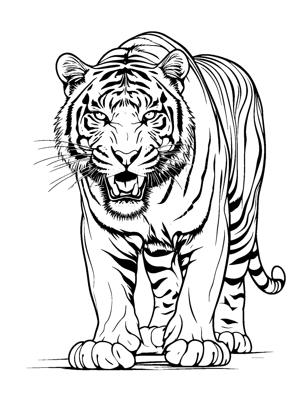 Sabertooth Tiger Coloring Page