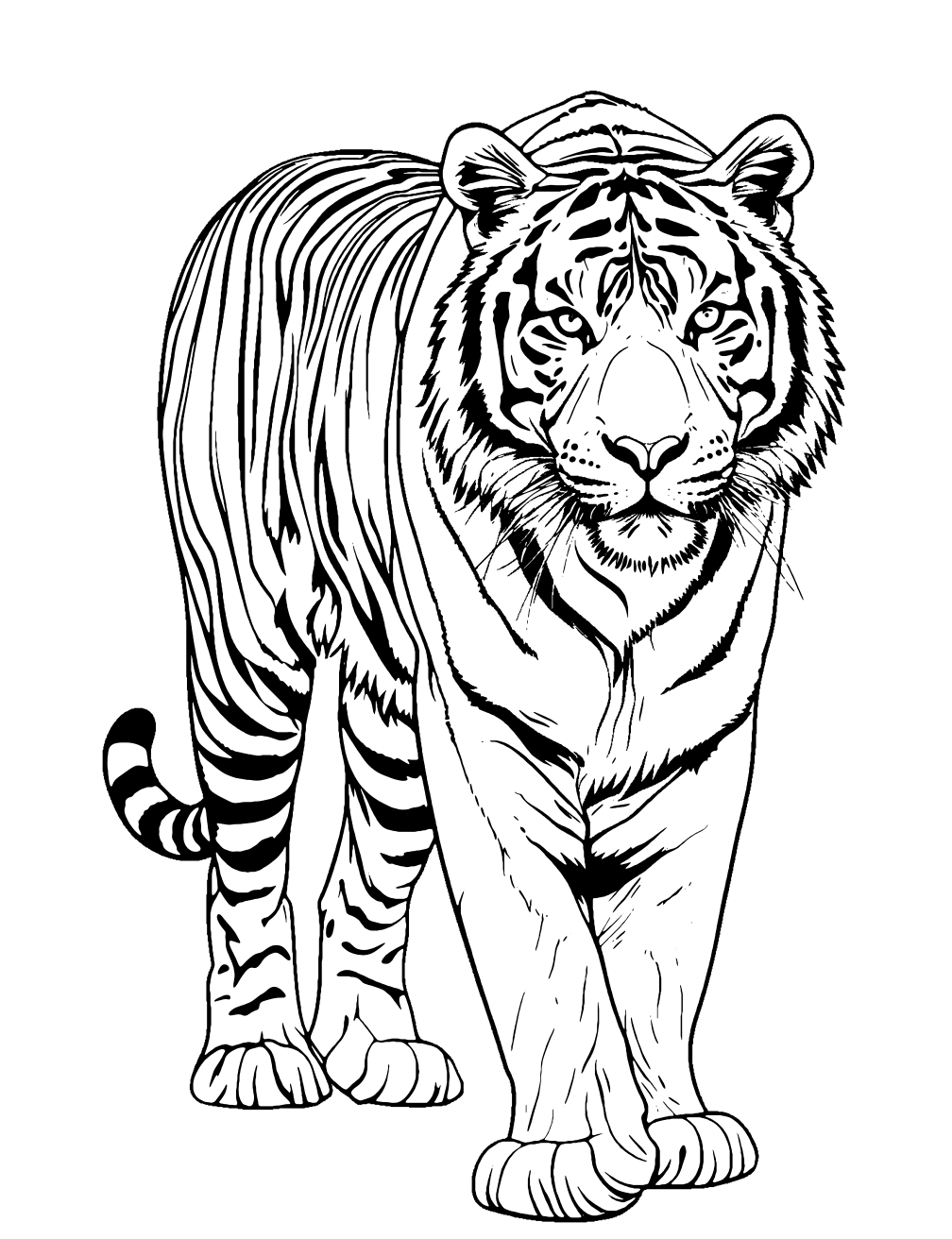 Siberian Tiger Coloring Page