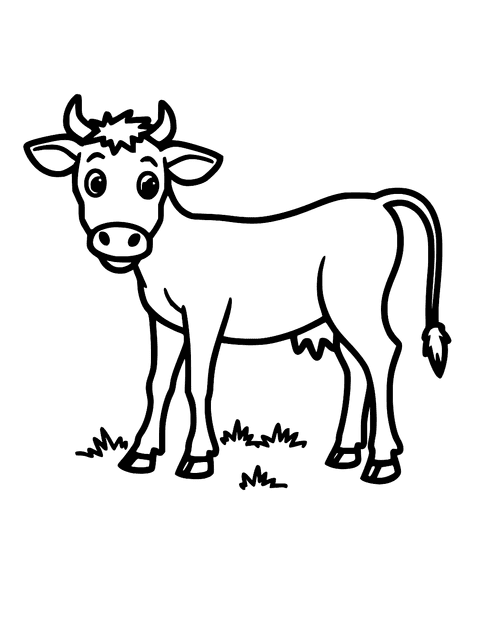 Vache Maigre