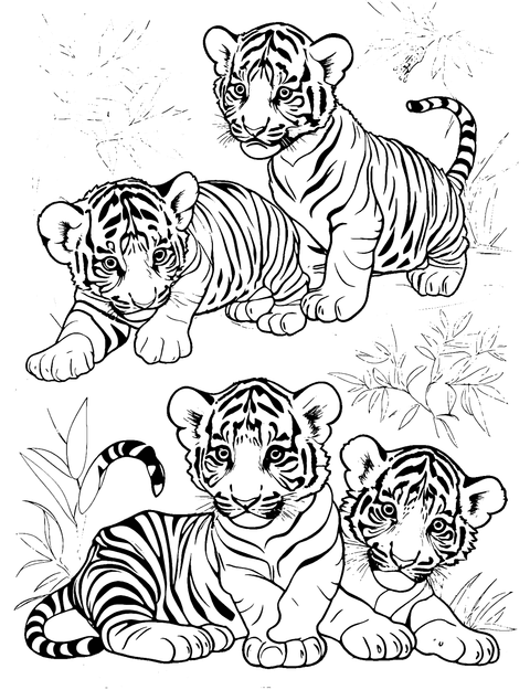 Tiger Cubs Coloring Page