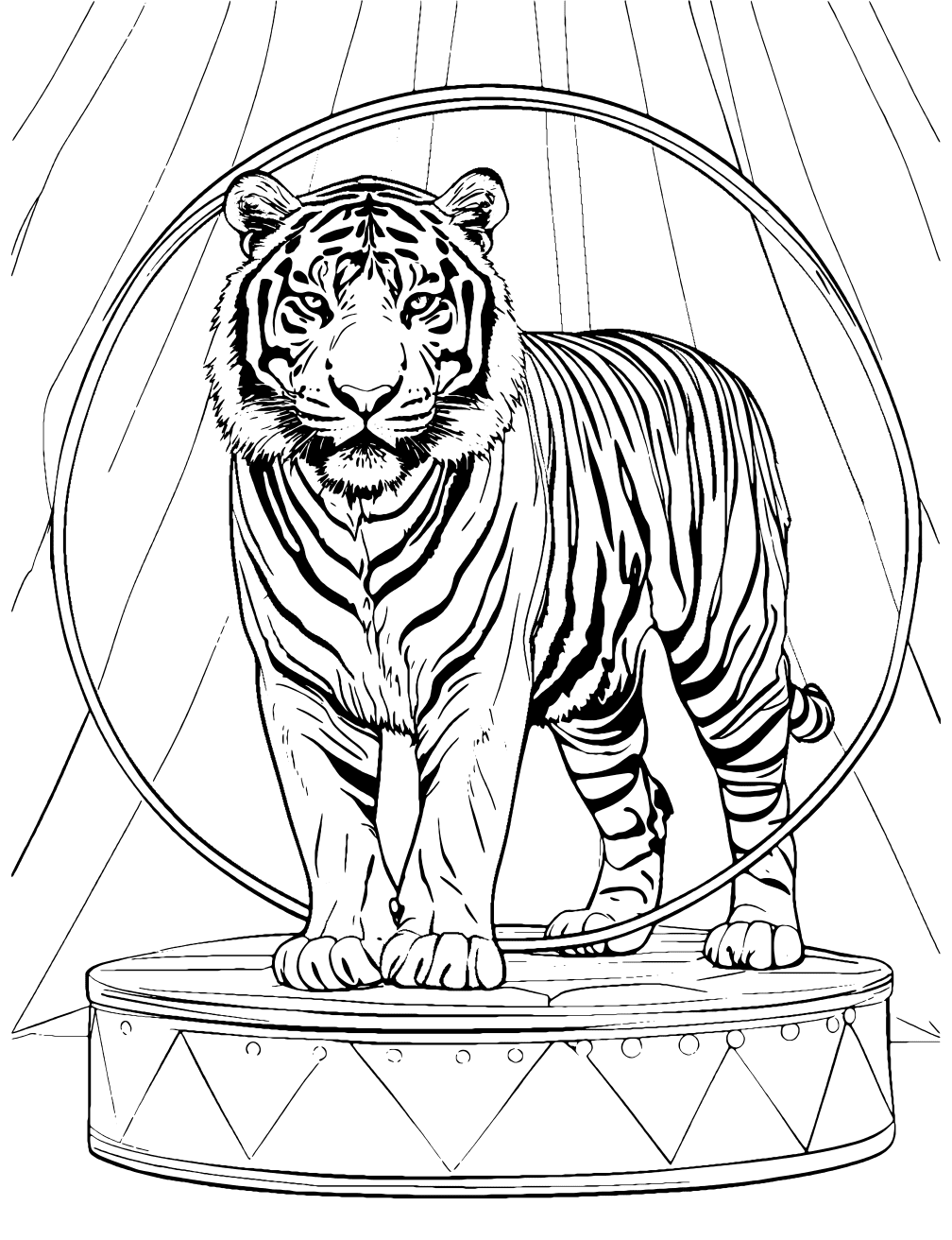 Tiger In Circus Coloring Page