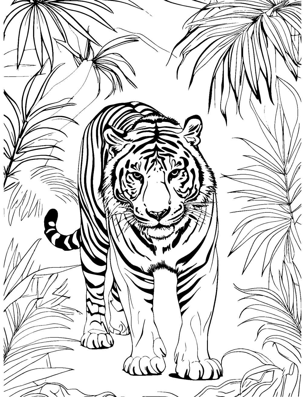 Tiger In Jungle Coloring Page