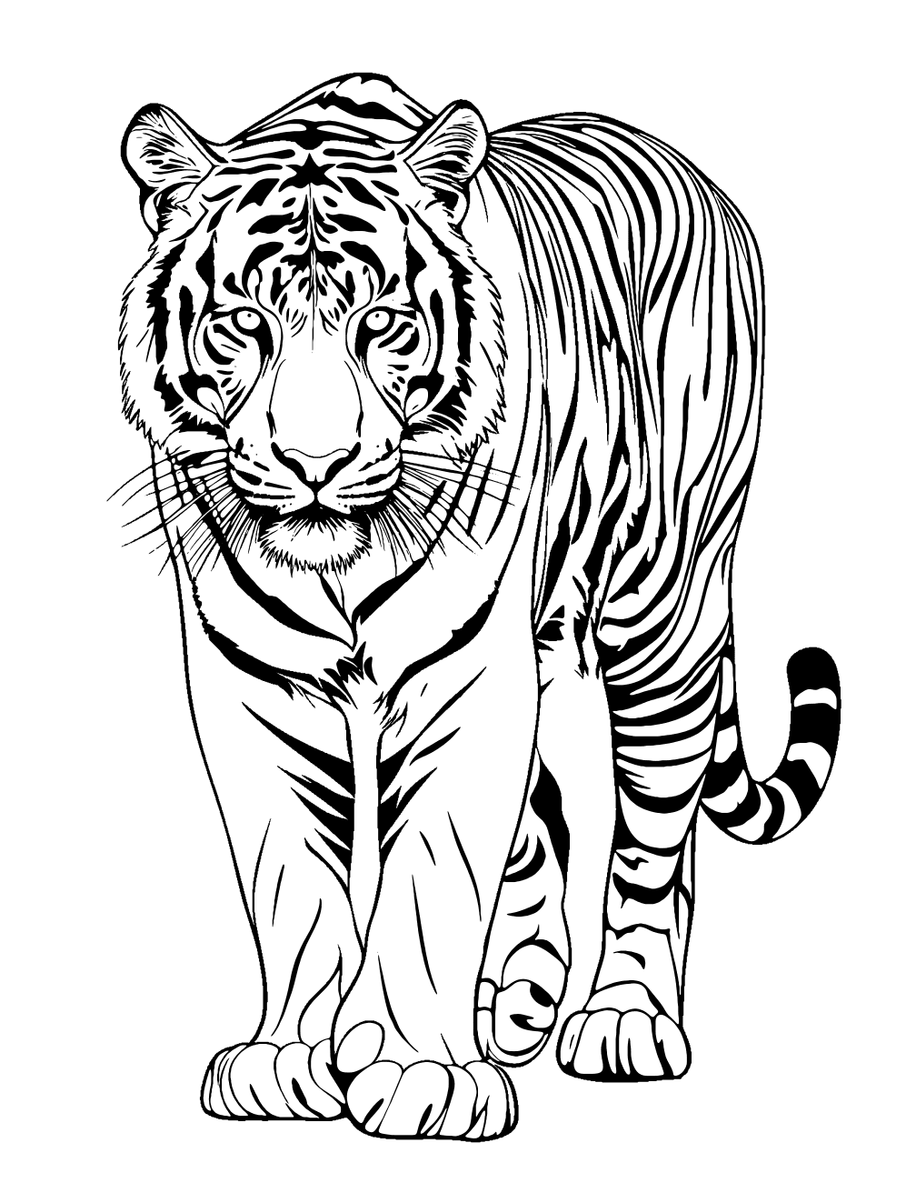 Tiger Stripes Coloring Page