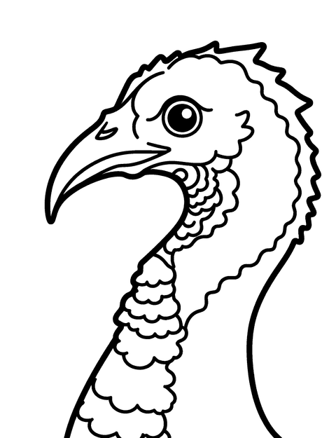 Turkey Beak coloring page