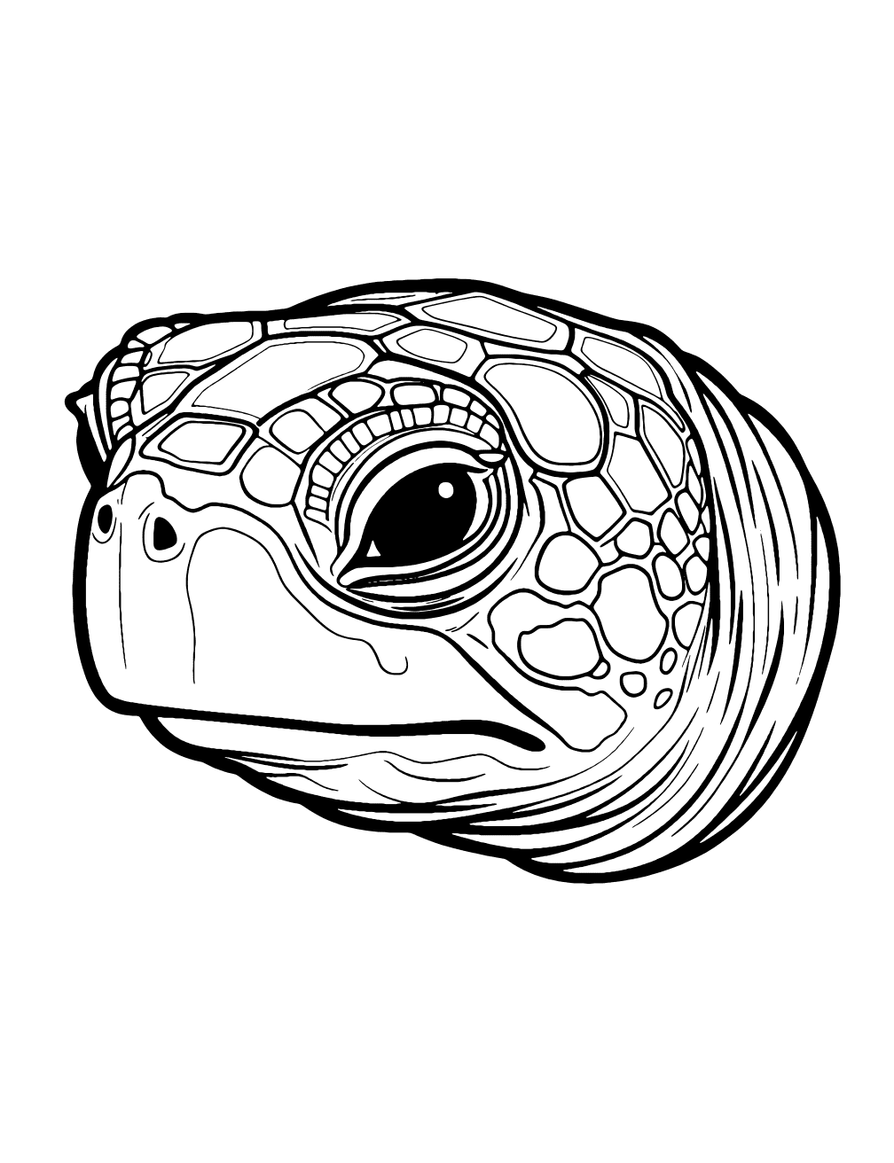 Turtle Head Coloring Page