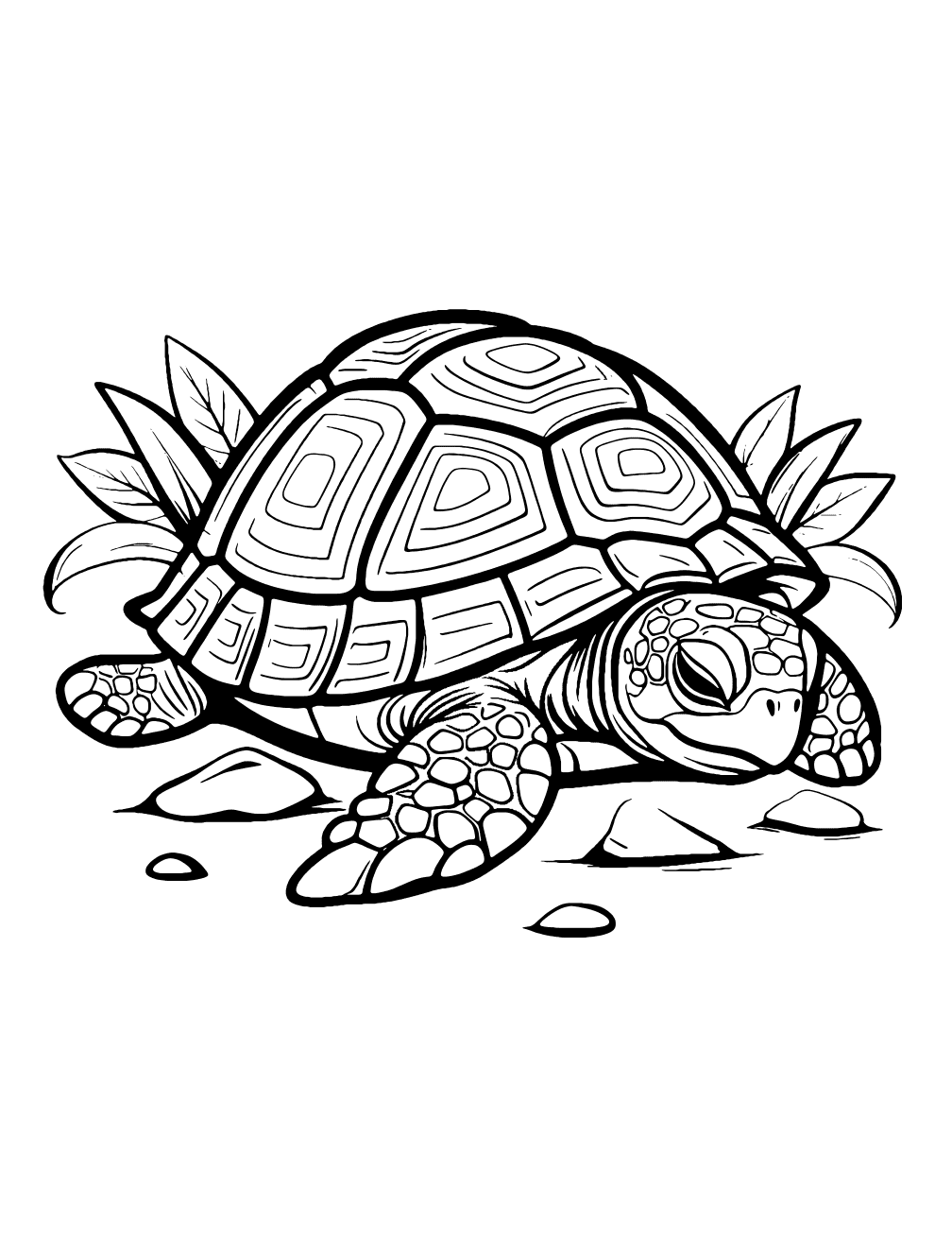 Turtle Sleeping Coloring Page