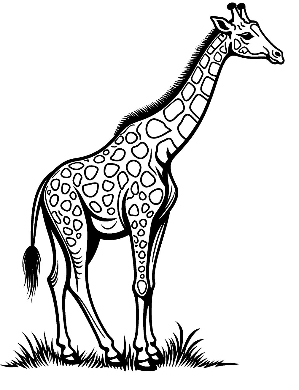 Girafa Selvagem Desenho para Colorir